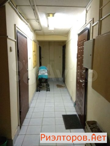 ����� �������� �������� ���� 185�1 (���� �13)