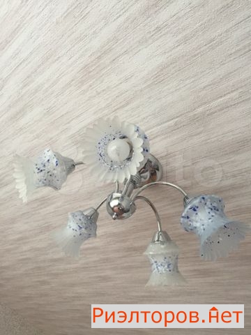 ����� �������� ����������� ����� 11�5 (���� �5)