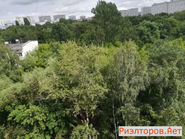 ����� �������� ����� ��������� 37�1 (���� �9)