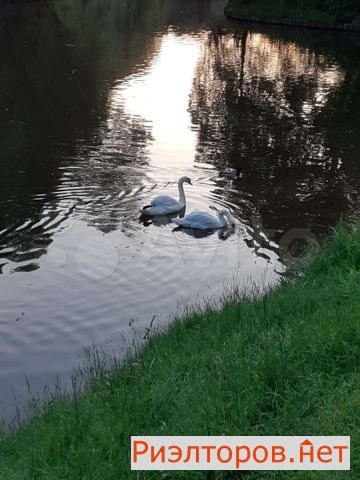 ����� ������� ��������� ����������� ������ 43�1 (���� �22)