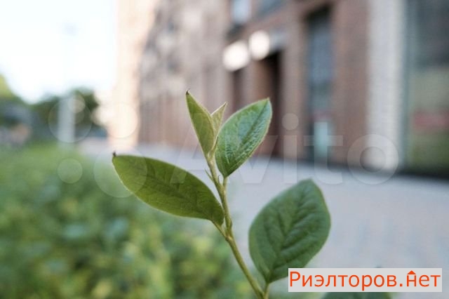 ����� �������� ��������� ����� 65�3 (���� �31)