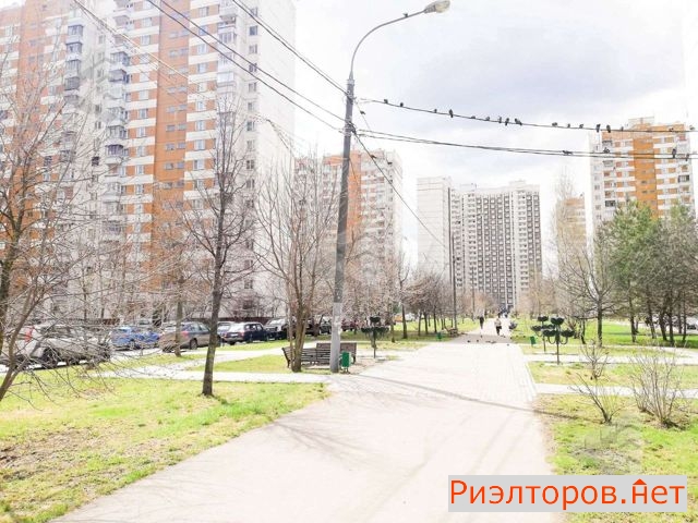 ����� �������� ����������� ����� 19 (���� �6)