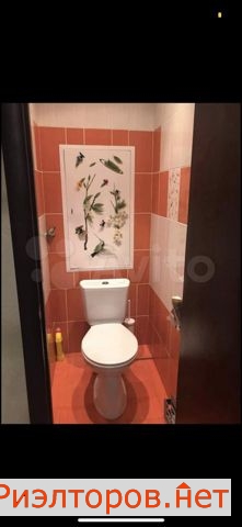 ����� ������� ����� ��������� 19� (���� �7)