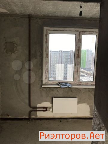     131 ( 2)