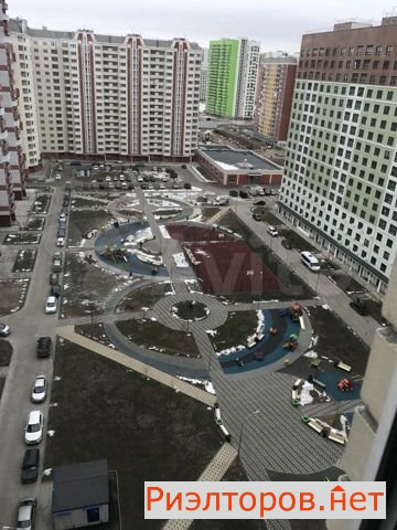     131 ( 8)
