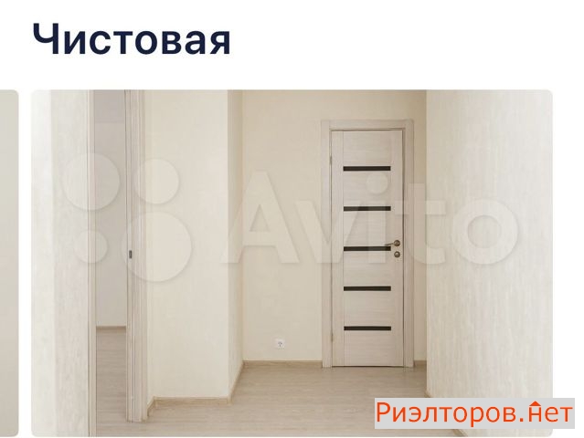         ( 2)