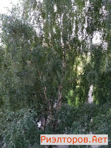 ������ ������� 5-� ������� ������� 20 (���� �12)