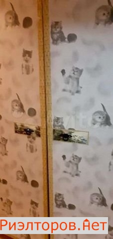 ����� �������� (���� �15)