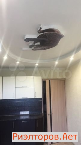 ����� �������� �� ������ ���� 2 (���� �3)