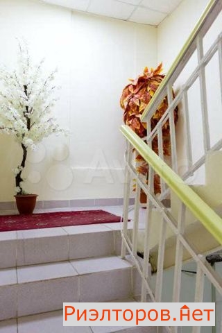 ����� ������ (���� �4)