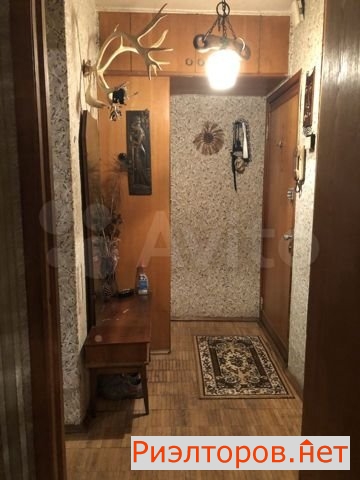 ����� �������� (���� �19)