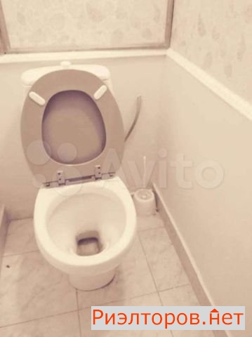 ����� �������� (���� �14)