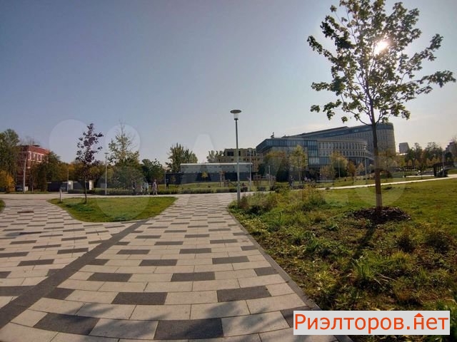 ����� �������� (���� �8)