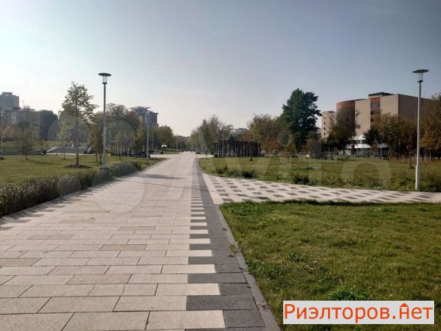 ����� �������� (���� �10)