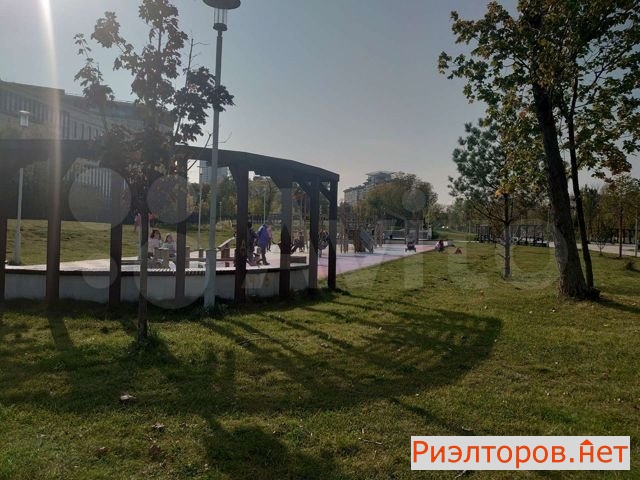 ����� �������� (���� �14)