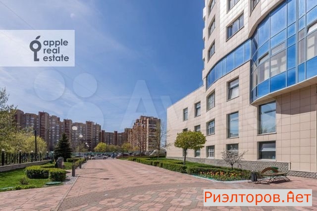 ����� �������� (���� �19)