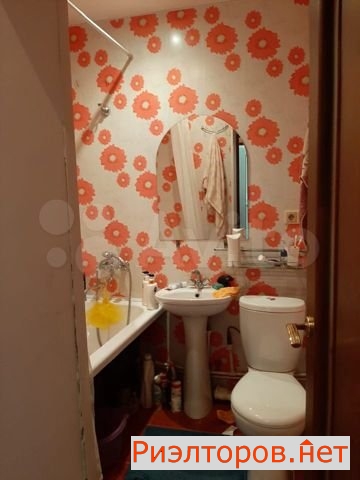 ����� �������� (���� �6)