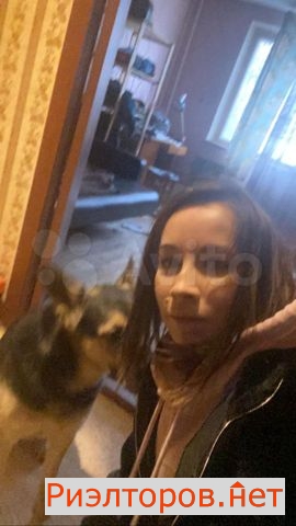 ����� ������� (���� �2)