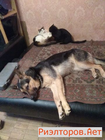 ����� ������� (���� �3)