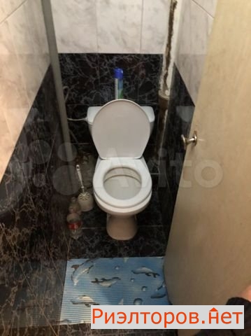 ����� ������� (���� �13)