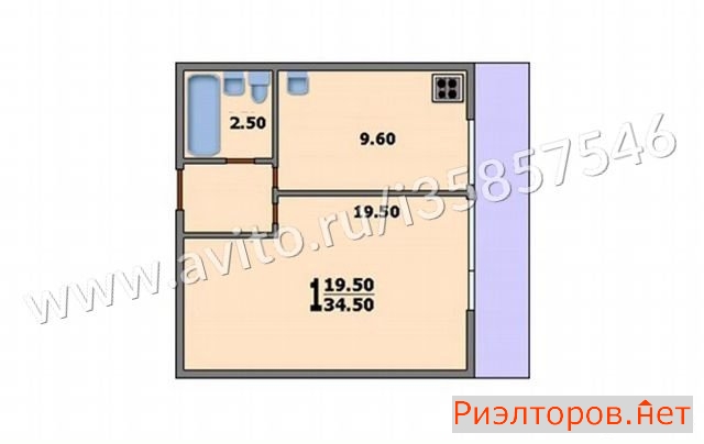 ����� �������� (���� �17)