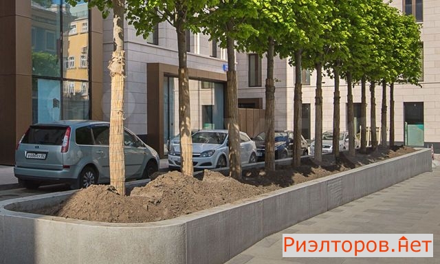 ������ �������� (���� �11)