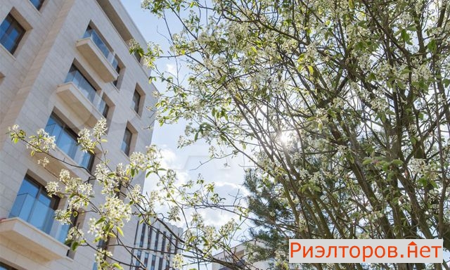 ������ �������� (���� �14)