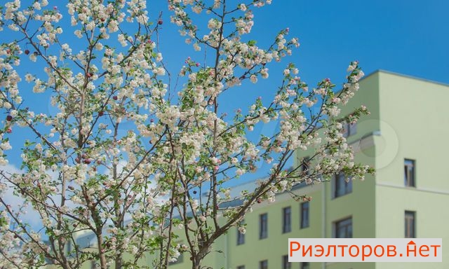 ������ �������� (���� �17)