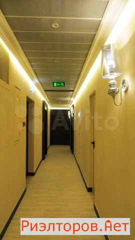     291 ( 12)
