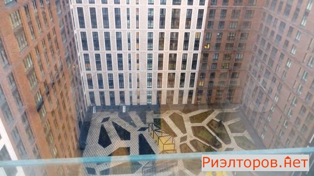     291 ( 13)