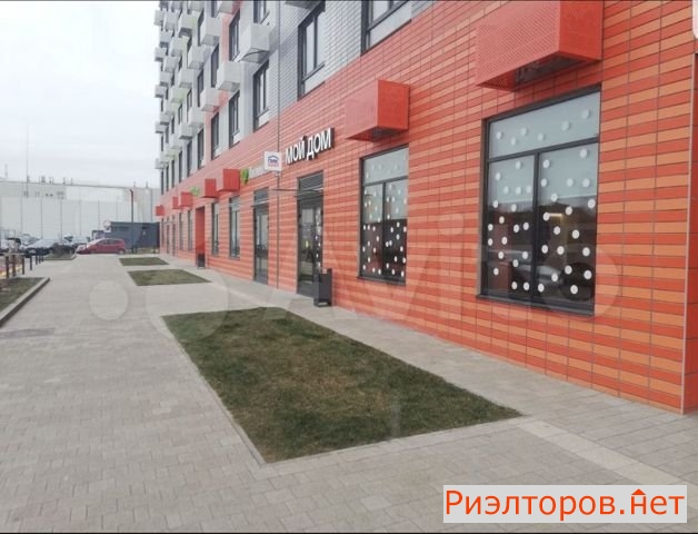    - 116 ( 23)