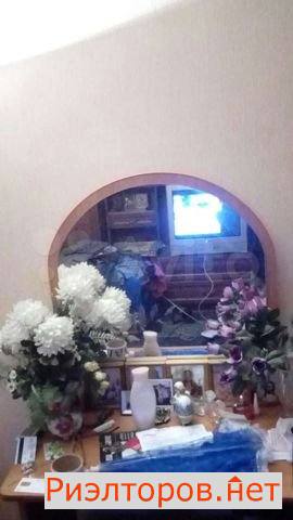     38 ( 8)