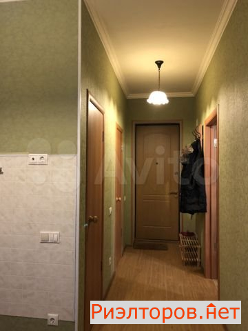     261 ( 10)