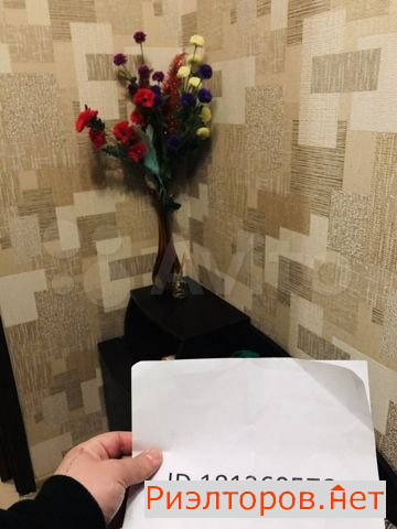 ����� �������� �������������� ����� 31�1 (���� �26)