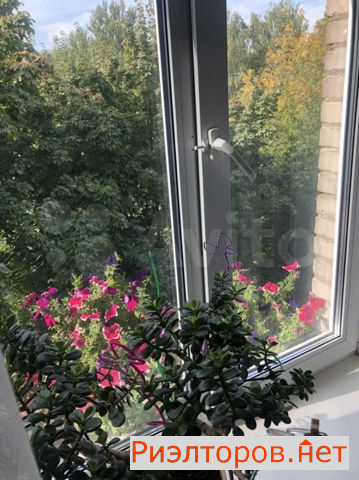 ������ �������� ��������� ������� 11�1 (���� �19)