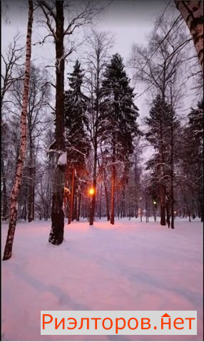 ����� ������ ��������� �������� �������� (���� �14)