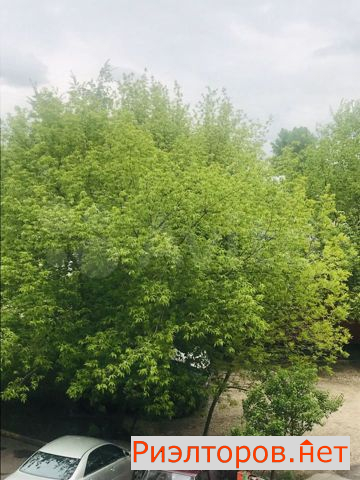 ����� ������� �������� ����� 26 (���� �12)