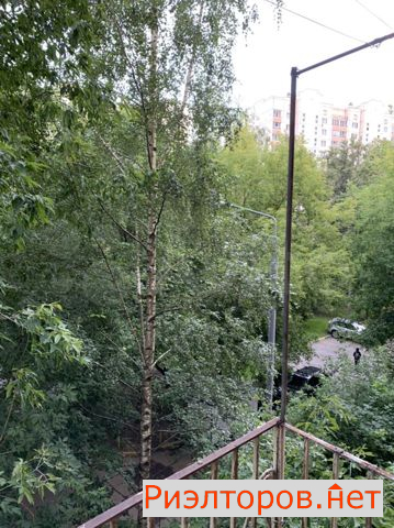 ����� ������� ����������� ����� 24 (���� �9)