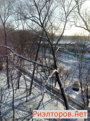 ����� ������� ���������� ����� 41 (���� �12)