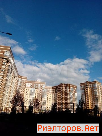 ����� �������� ��������� ���������� ����� �������� ���� (���� �19)