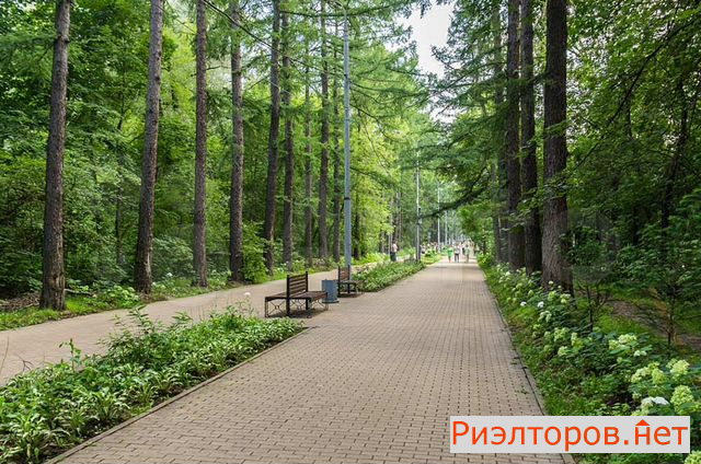 ������ ������ ������� �������������� ����� 8�2 (���� �4)