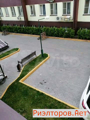 ����� (���� �8)