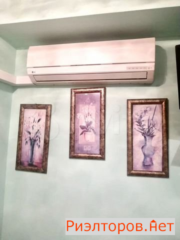 ����� �������� (���� �5)