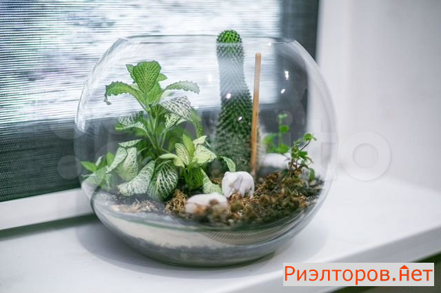 ����� ������ (���� �15)