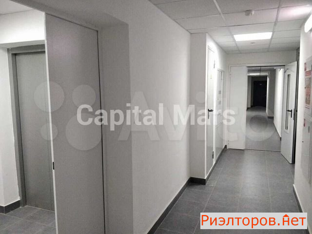 ����� �������� (���� �11)