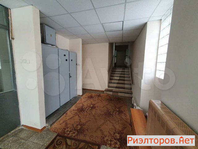 ����� �������� (���� �23)