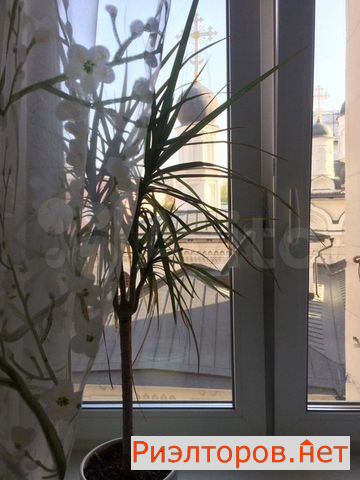 ������ �������� (���� �12)