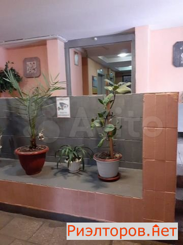 ����� �������� (���� �10)