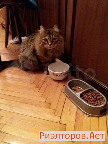 ����� ������� (���� �9)