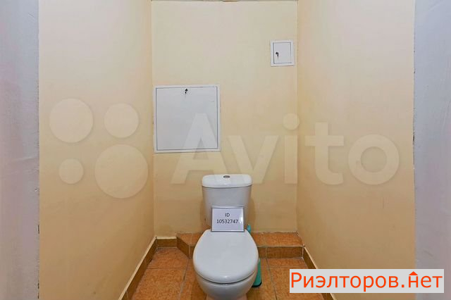      121 ( 13)